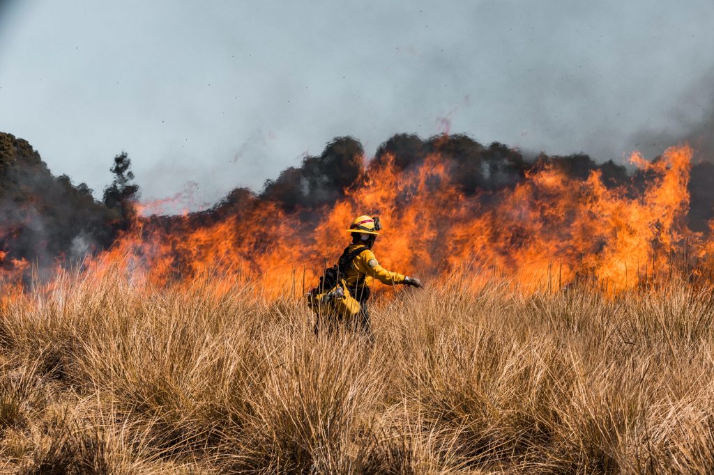 ¡Guanajuato fortalece la prevención de incendios forestales durante la temporada invernal!